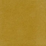 Ananda Plain (F8000-01)